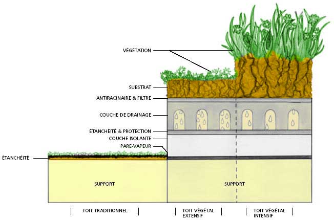 Terrasse en toiture vegetalisee